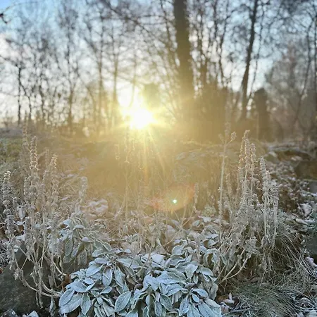 Alte Backstube Сasa de vacaciones