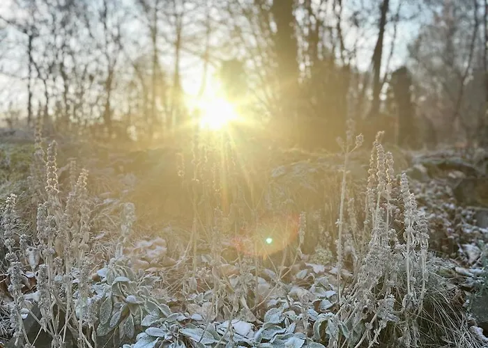 Alte Backstube Holiday home